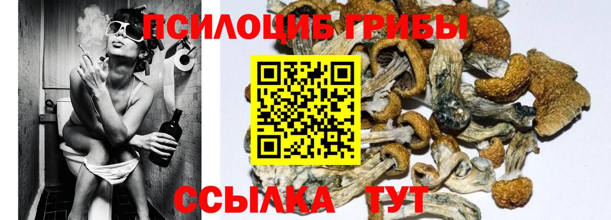 Псилоцибиновые грибы ЛСД Гусев